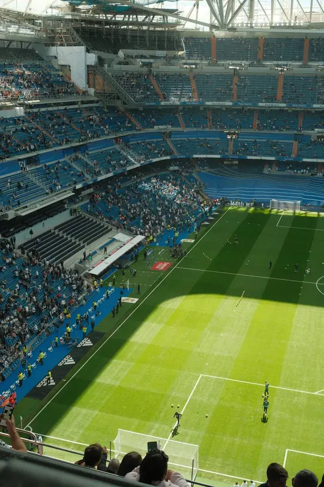Assessing Cody Gakpo's Transfer Value and Impact: A Case Study in Modern Football Economics