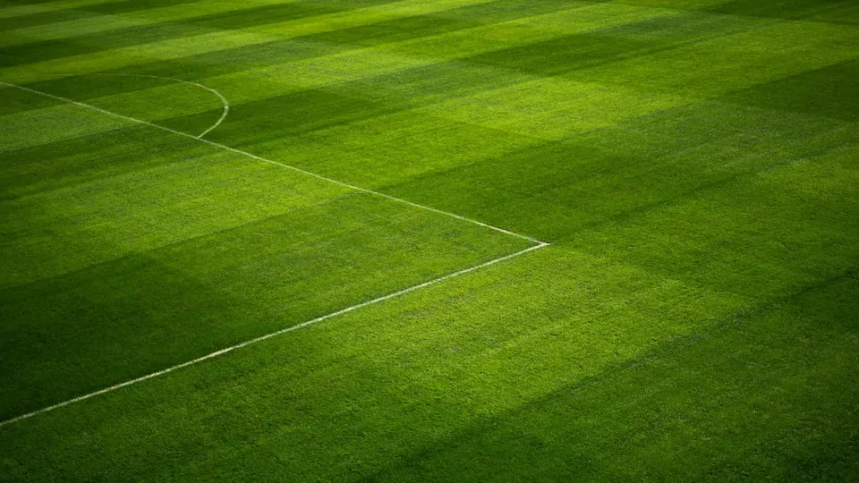Liverpool Fan Forum Discussion Meta: The Pulse of the Kop